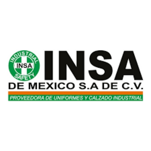 INSA de México SA de CV Construex