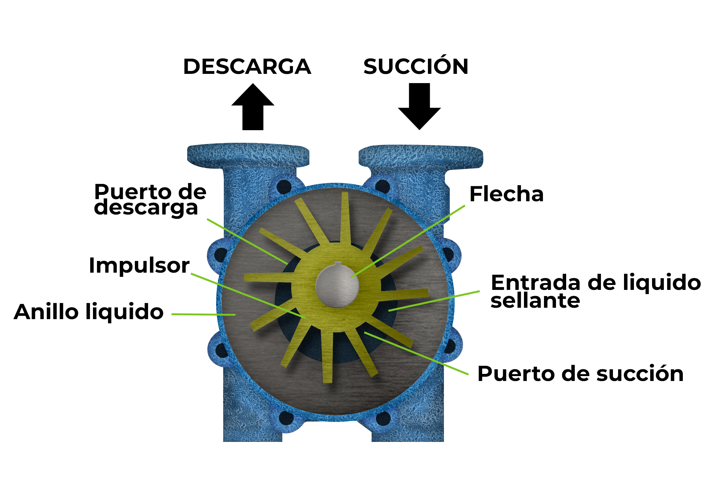 Bombas De Vacío Anillo Líquido CDMX : Bombas De Vacío Y Deshidratación ...