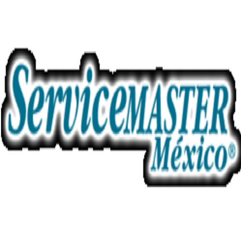 Servicemaster | Construex